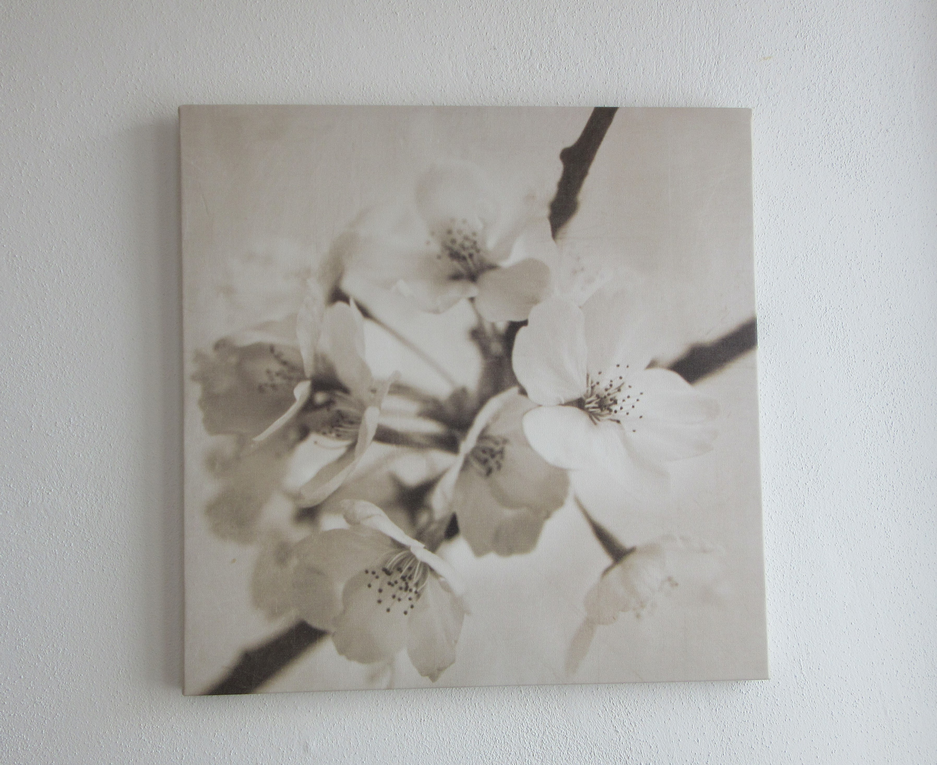flower wall art