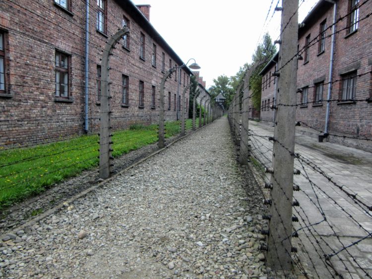 Taking a Tour of Auschwitz. | My Meena Life