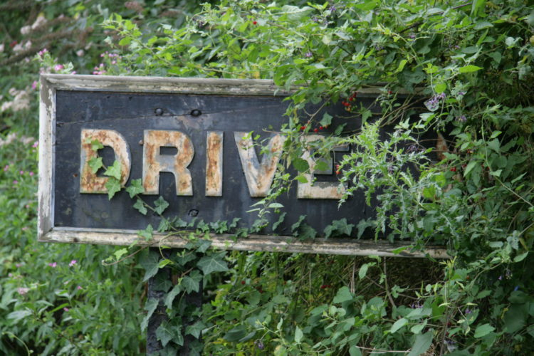 One Year Without a Vehicle. | My Meena Life. Photo by Peter via Flickr.