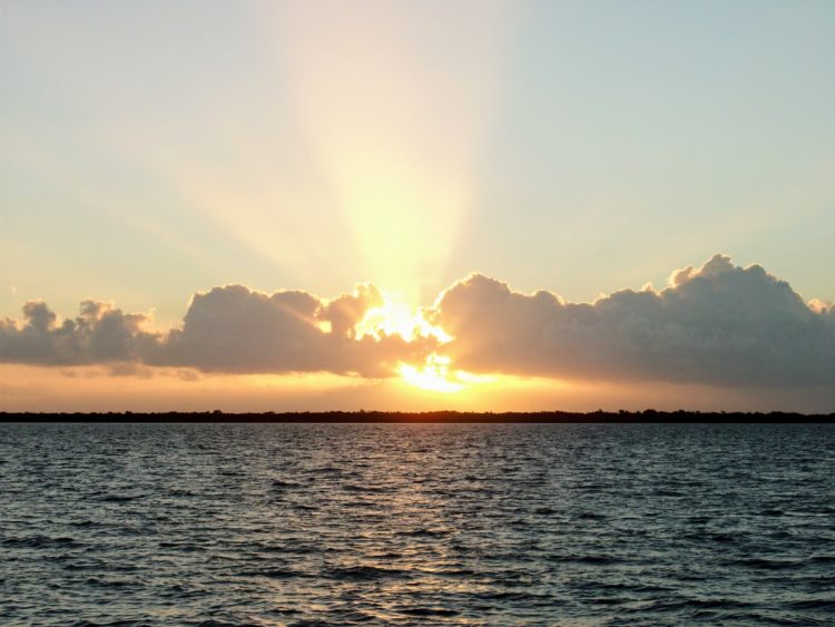 The Unfortunate Realities of Life with Chronic Illness. | My Meena Life