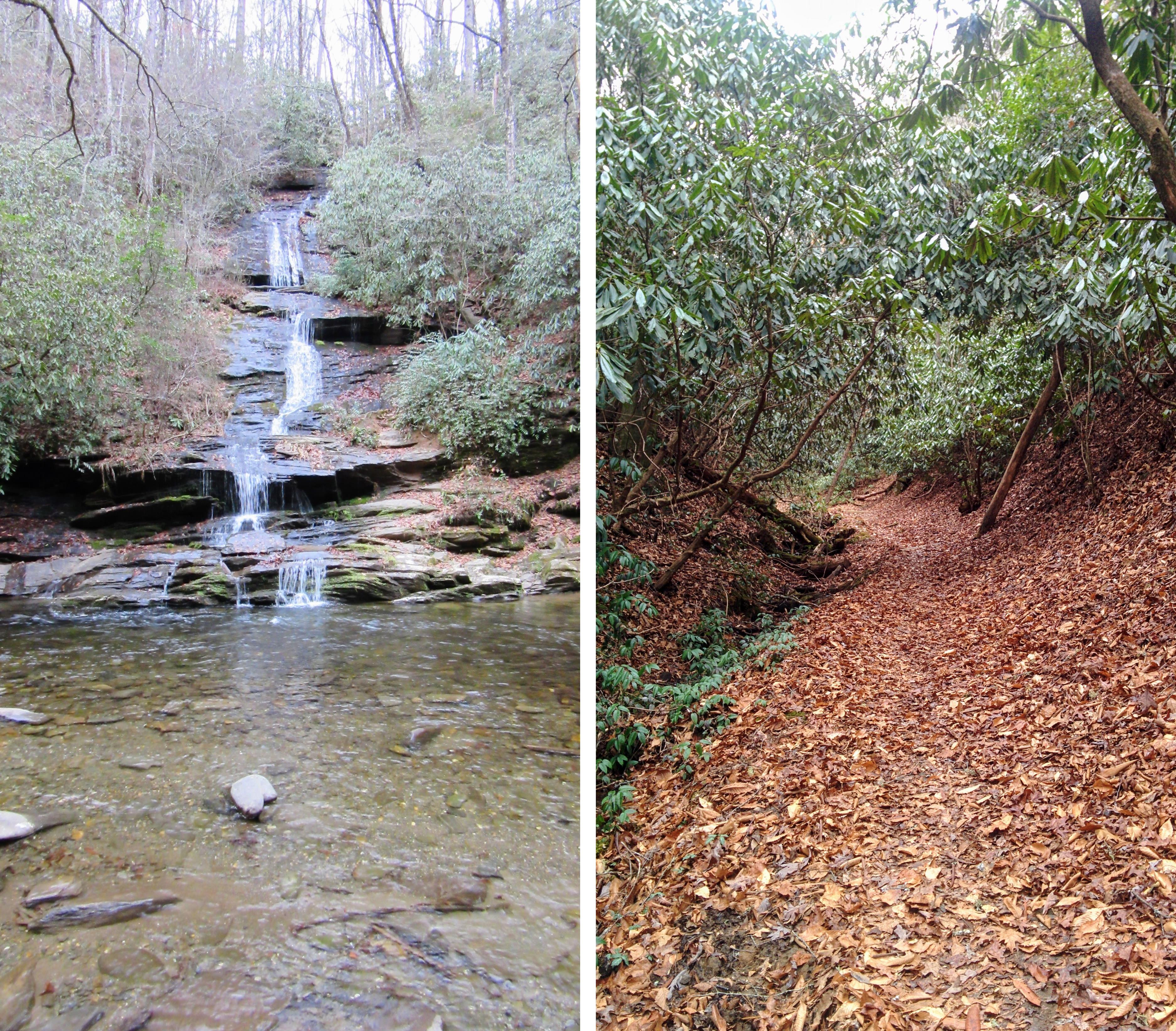 Hiking the Deep Creek Trailhead in the GSMNP.