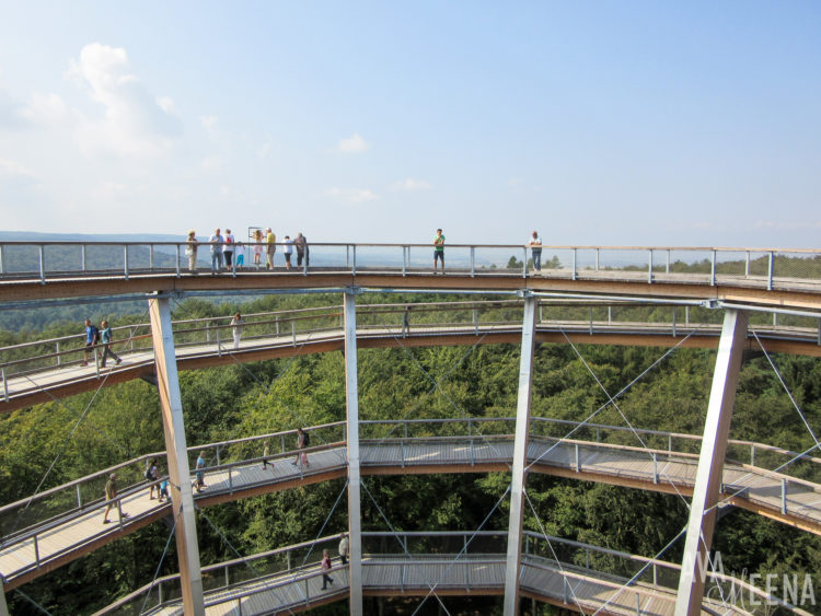 Visiting the Baumwipfelpfad Steigerwald – an Incredible Treetop Path in Bavaria, Germany.