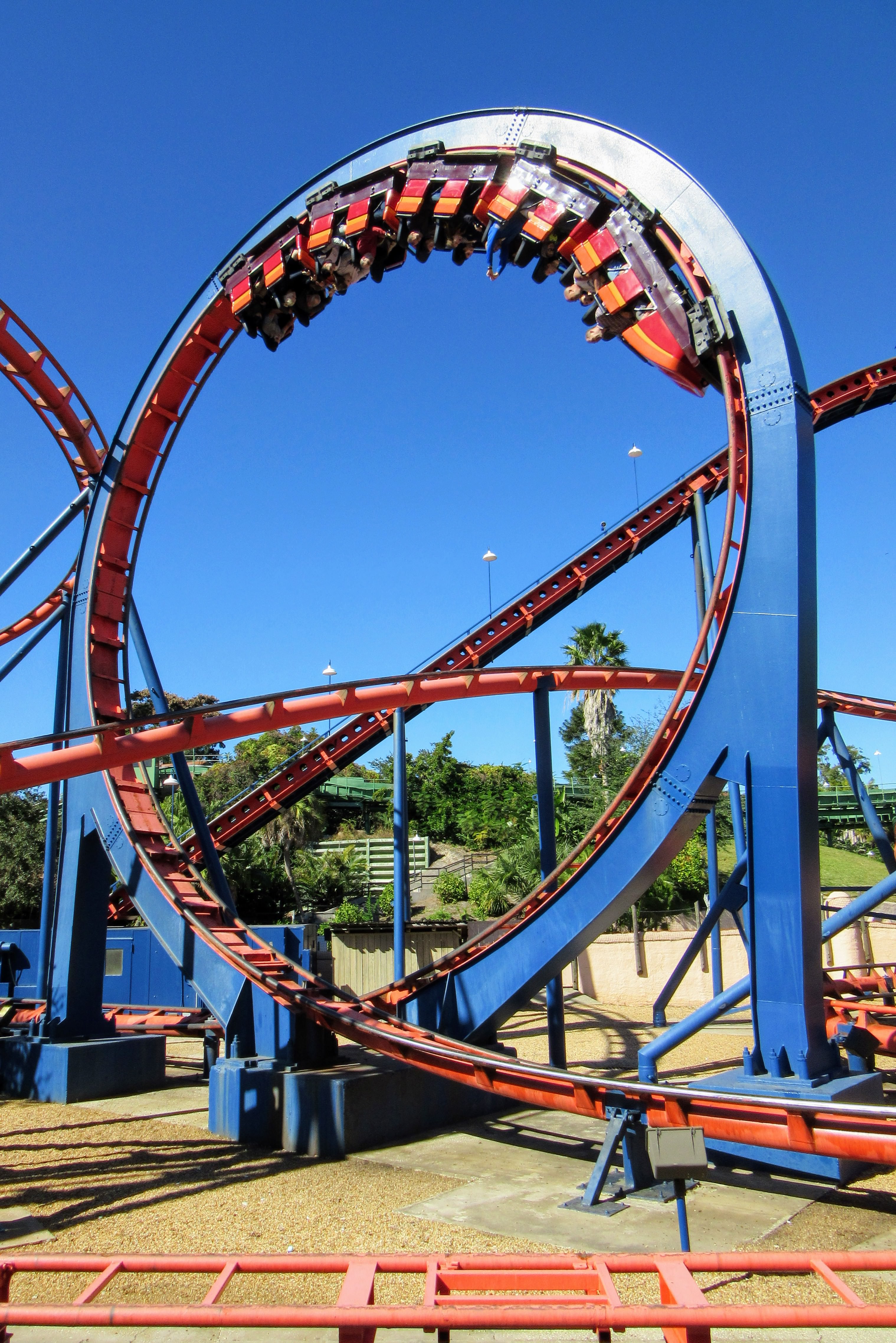 busch gardens tampa roller coaster insider tour