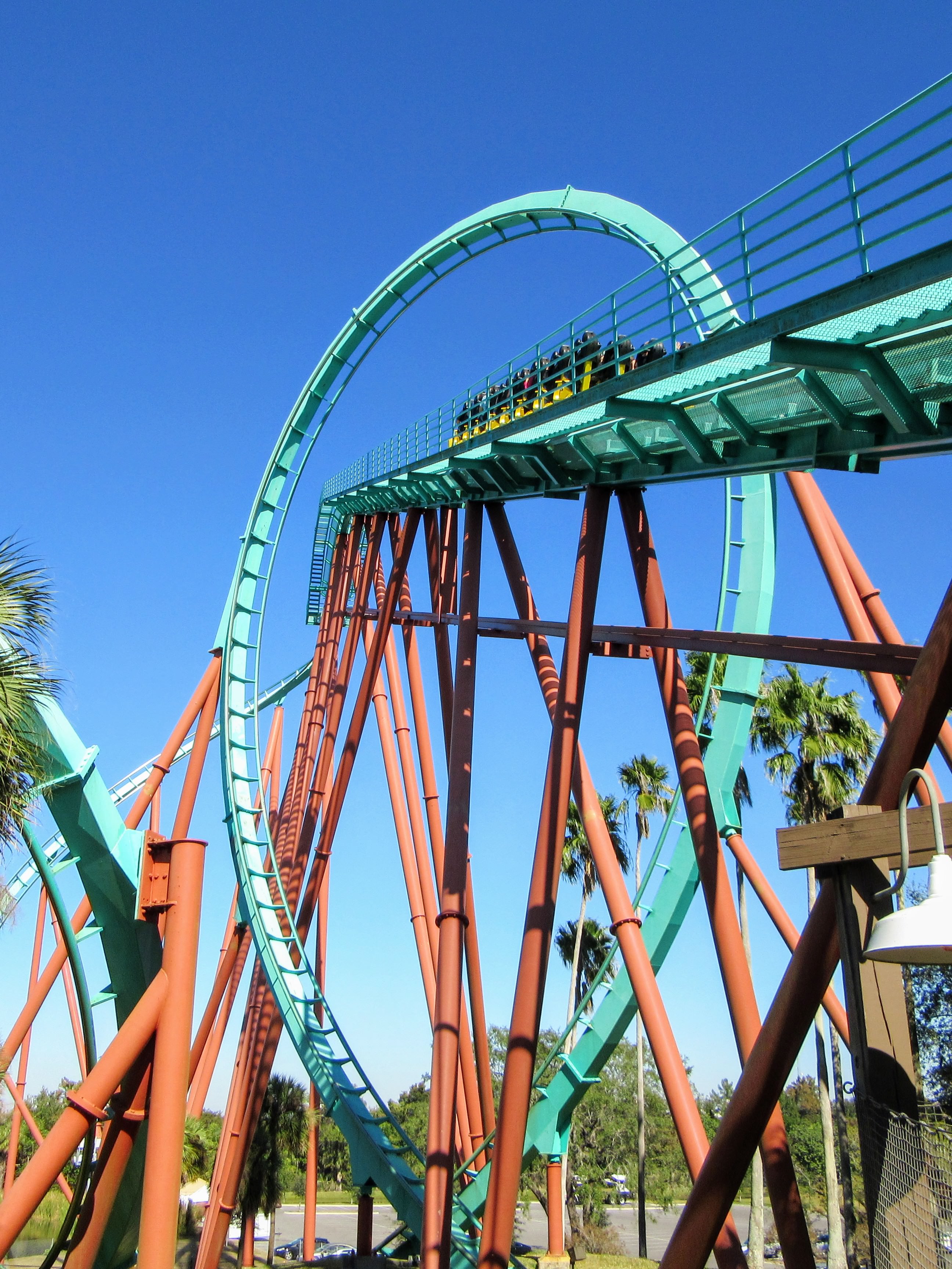 Visiting Busch Gardens Tampa Bay A Review Tips