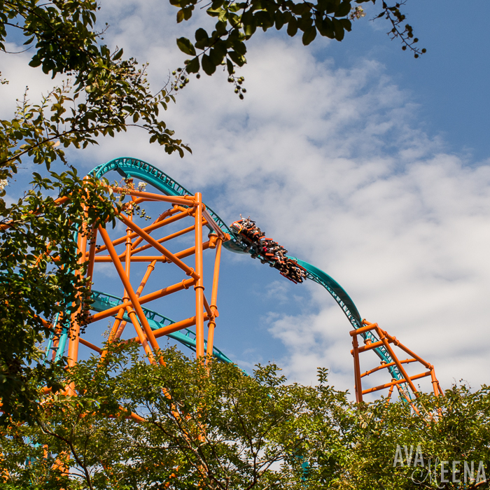 Busch Gardens Williamsburg Ride Reviews And Tips For Visiting