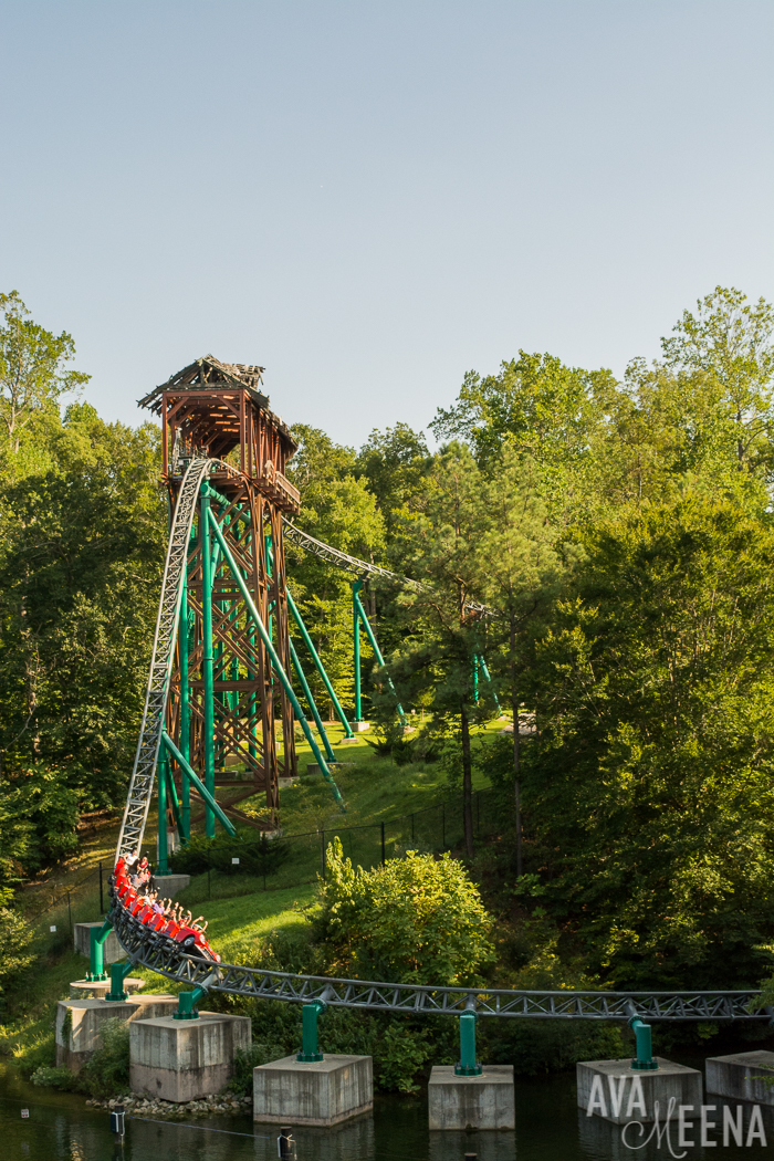 Busch Gardens Williamsburg Ride Reviews And Tips For Visiting