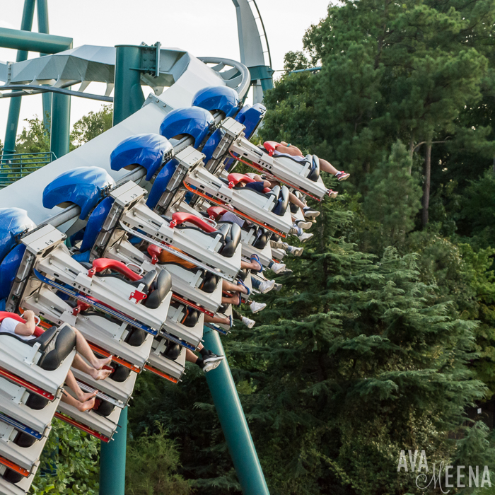 Busch Gardens Williamsburg Ride Reviews And Tips For Visiting